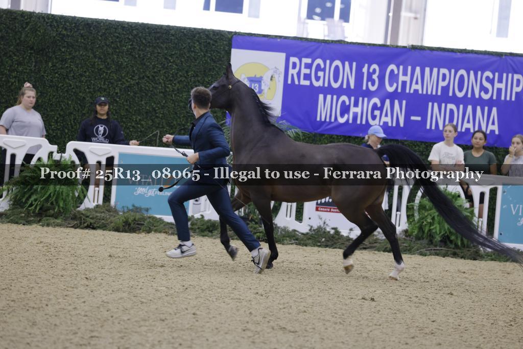 Proof Number 25R13_08065