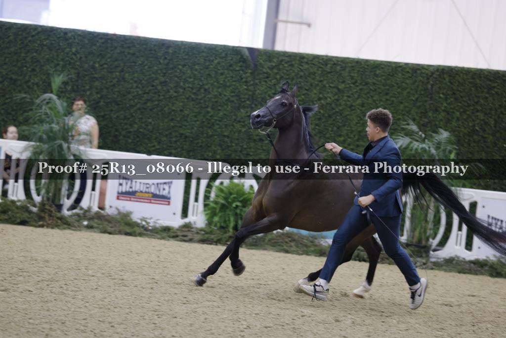 Proof Number 25R13_08066