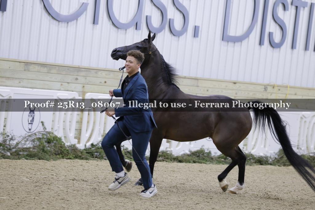 Proof Number 25R13_08067