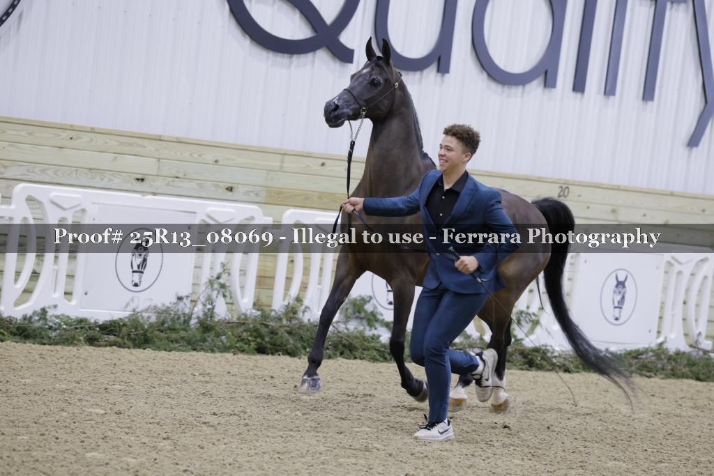Proof Number 25R13_08069