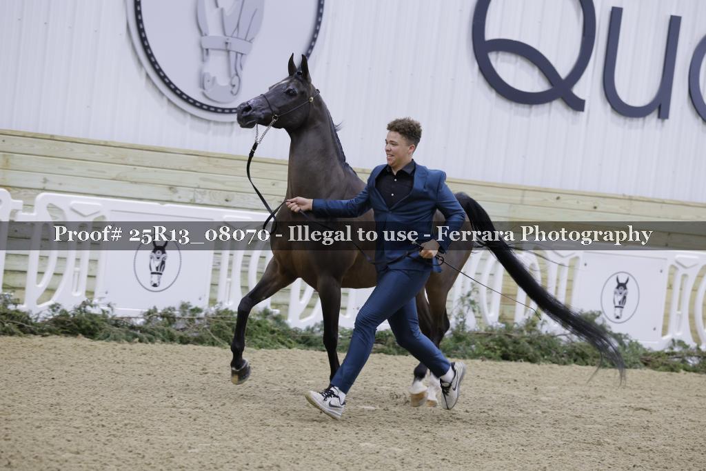 Proof Number 25R13_08070