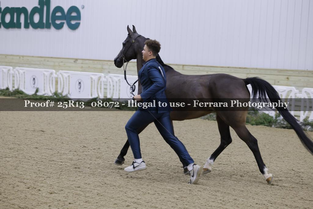 Proof Number 25R13_08072