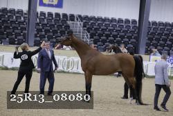 25R13_08080 thumbnail