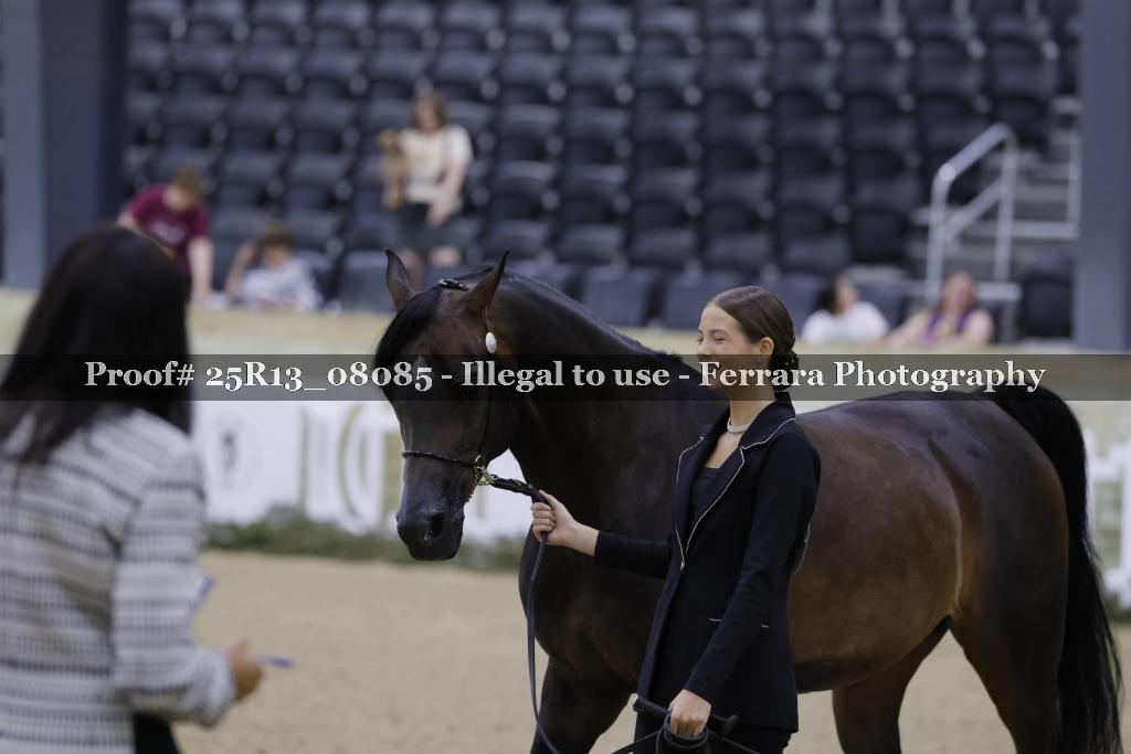 Proof Number 25R13_08085