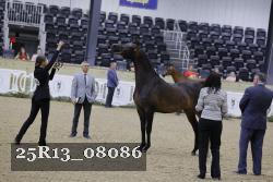 25R13_08086 thumbnail