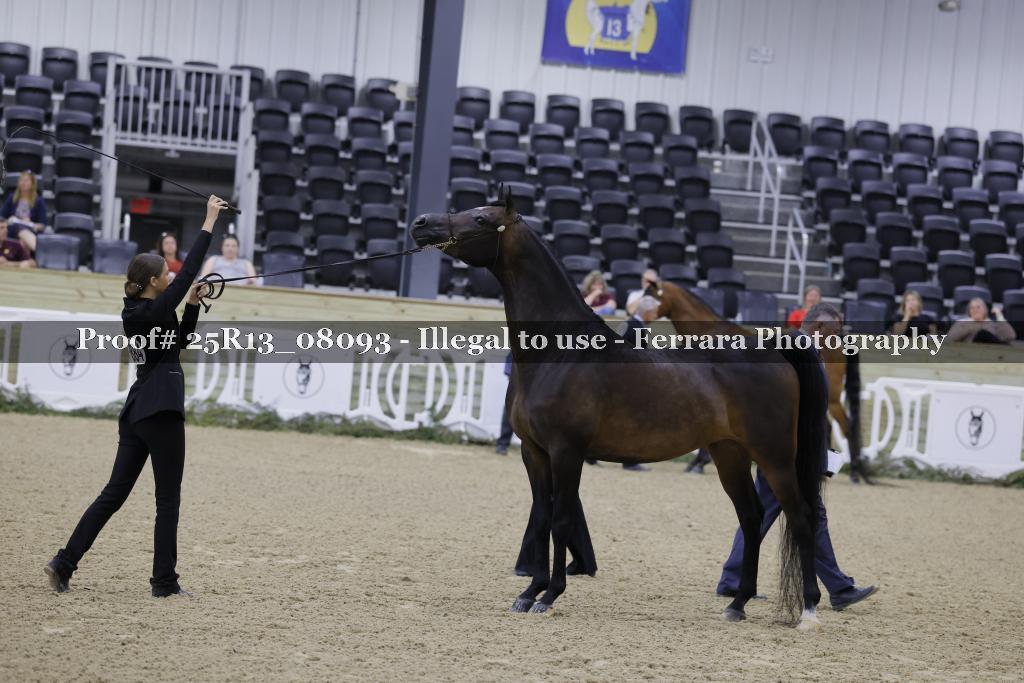 Proof Number 25R13_08093