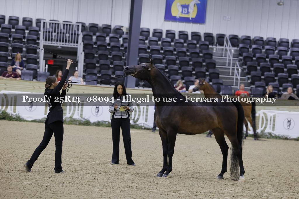 Proof Number 25R13_08094