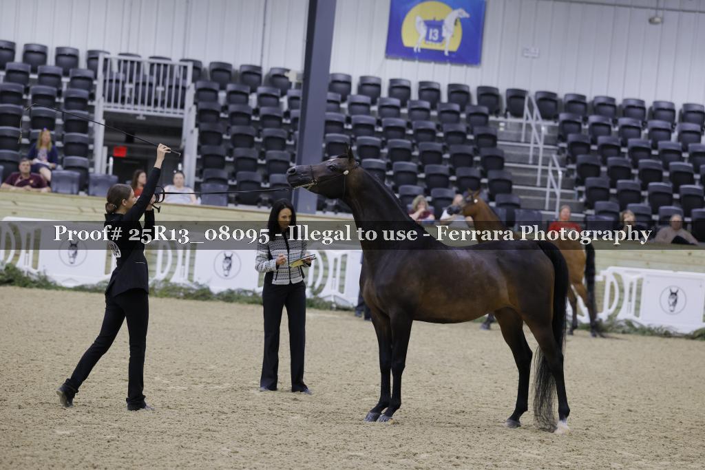 Proof Number 25R13_08095