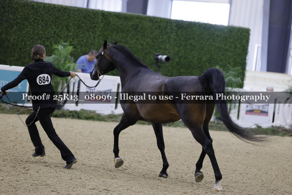 Proof Number 25R13_08096