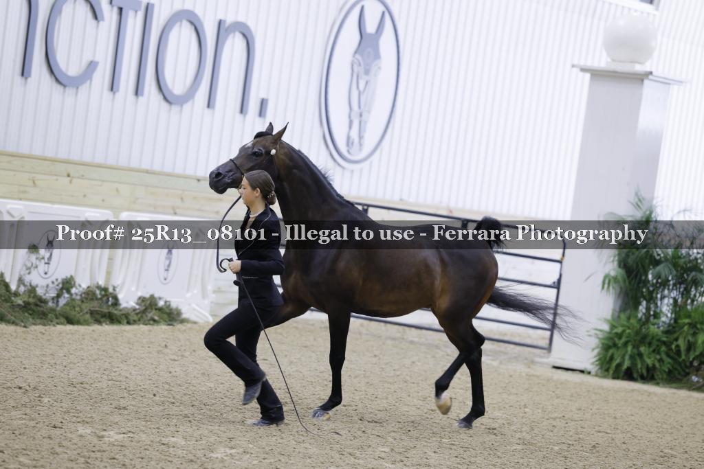 Proof Number 25R13_08101