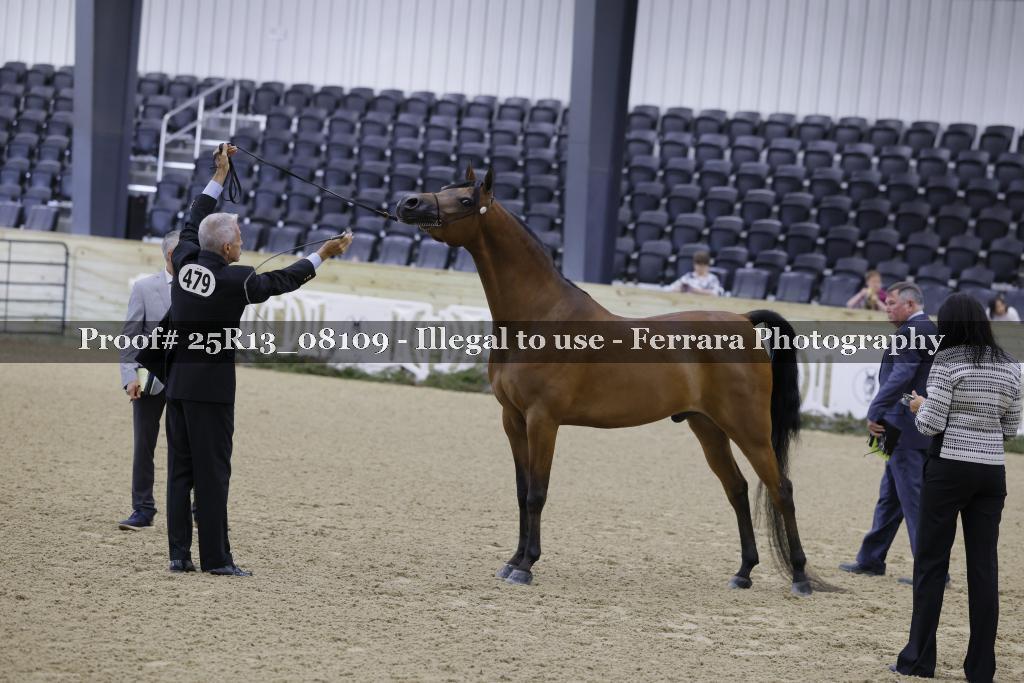 Proof Number 25R13_08109