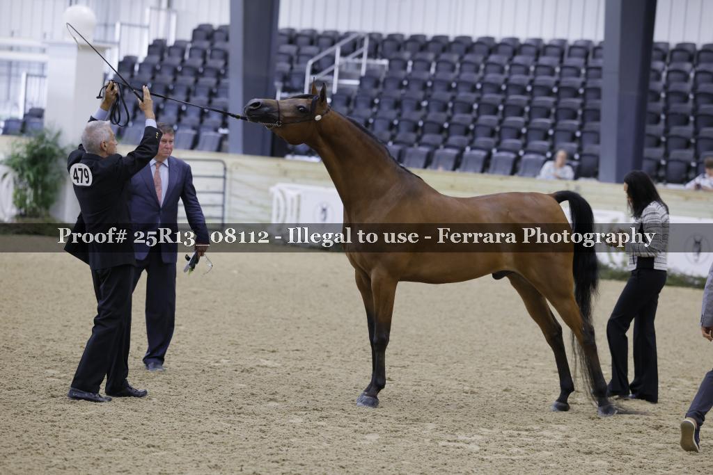 Proof Number 25R13_08112
