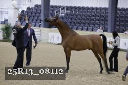 25R13_08112 thumbnail