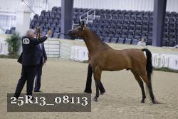 25R13_08113 thumbnail