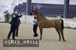 25R13_08114 thumbnail