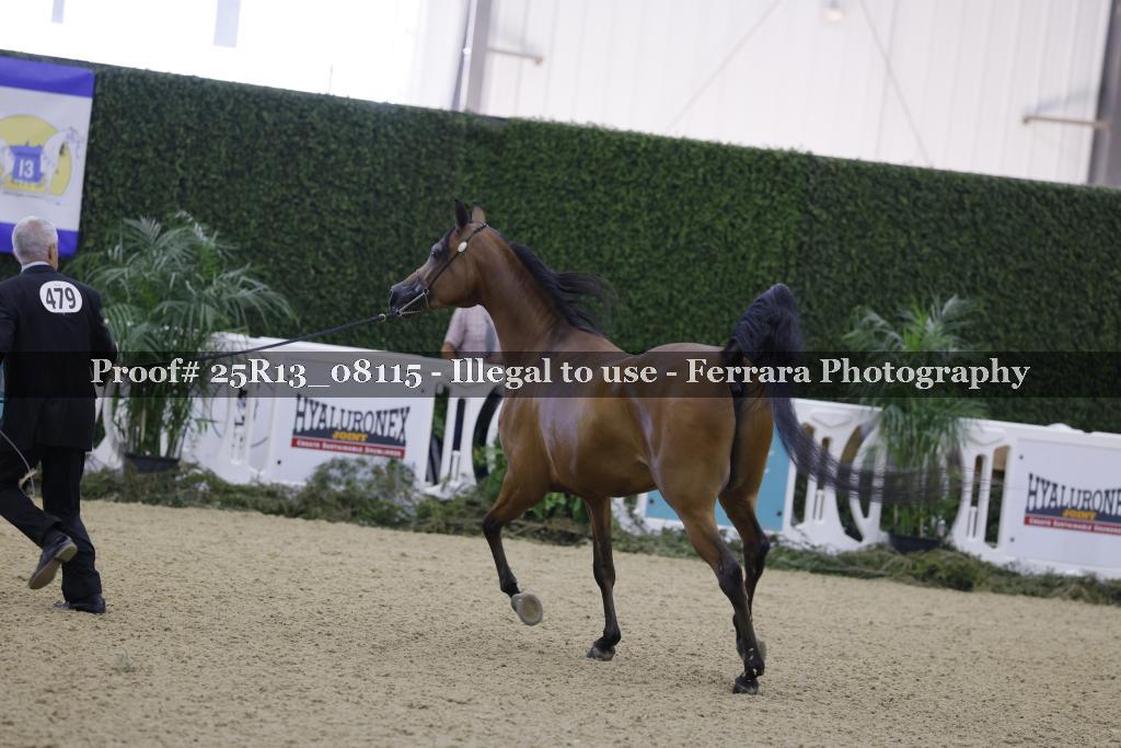 Proof Number 25R13_08115