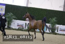 25R13_08115 thumbnail