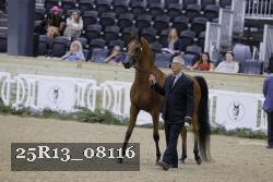 25R13_08116 thumbnail