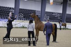 25R13_08118 thumbnail