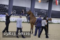 25R13_08119 thumbnail