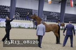25R13_08120 thumbnail