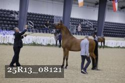 25R13_08121 thumbnail