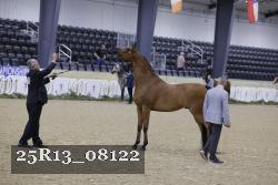 25R13_08122 thumbnail