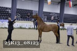 25R13_08123 thumbnail