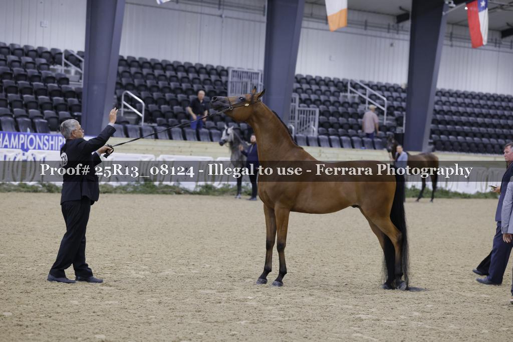 Proof Number 25R13_08124