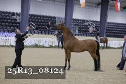 25R13_08124 thumbnail