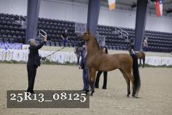 25R13_08125 thumbnail