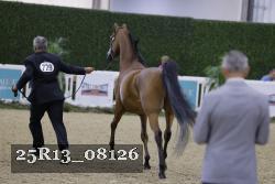 25R13_08126 thumbnail