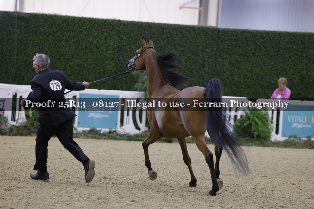 Proof Number 25R13_08127