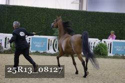 25R13_08127 thumbnail