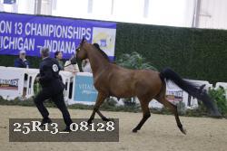 25R13_08128 thumbnail