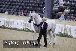 25R13_08130 thumbnail