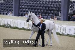 25R13_08131 thumbnail