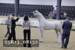 25R13_08132 thumbnail