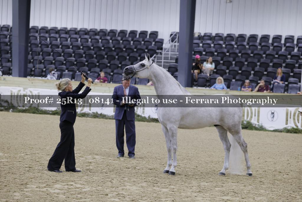 Proof Number 25R13_08141