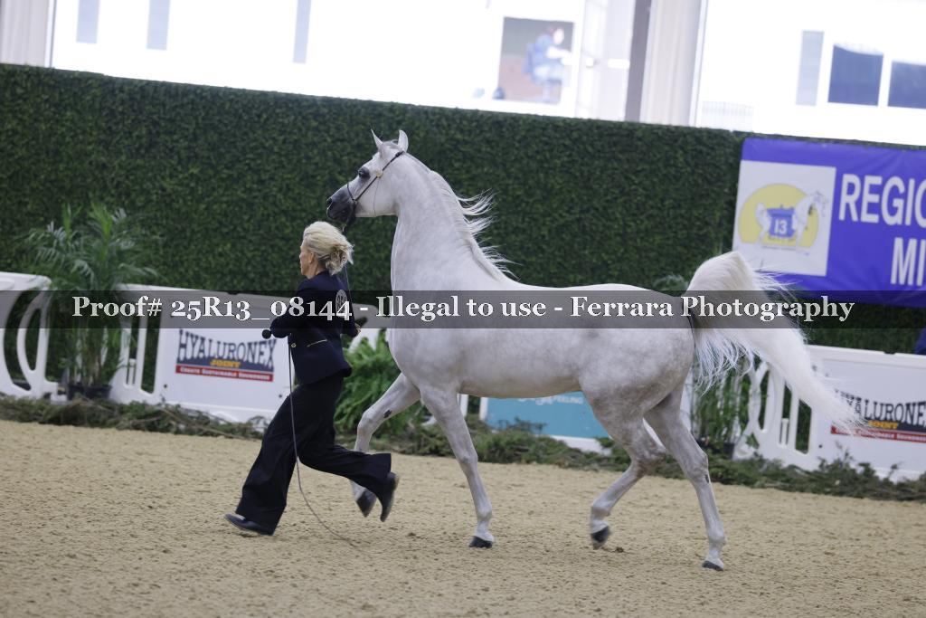 Proof Number 25R13_08144