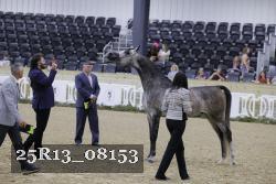 25R13_08153 thumbnail