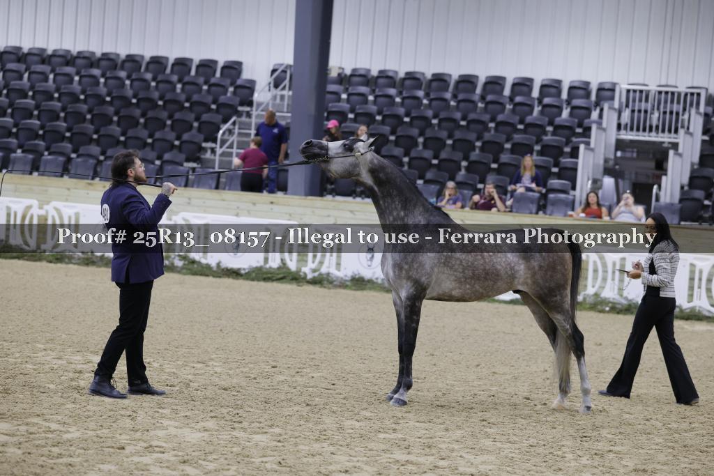 Proof Number 25R13_08157