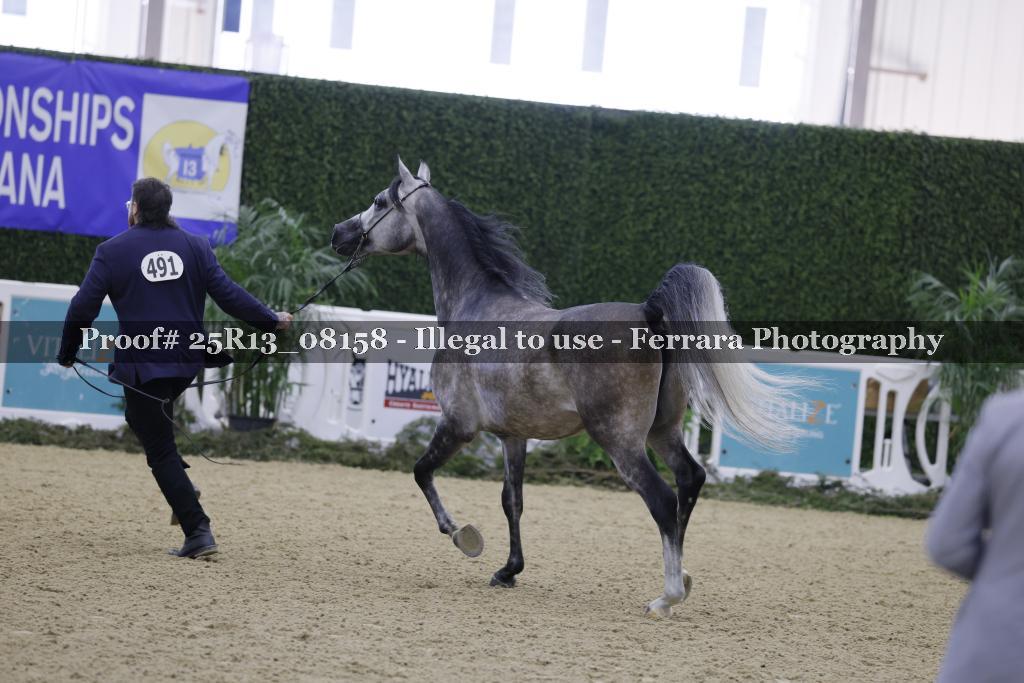 Proof Number 25R13_08158