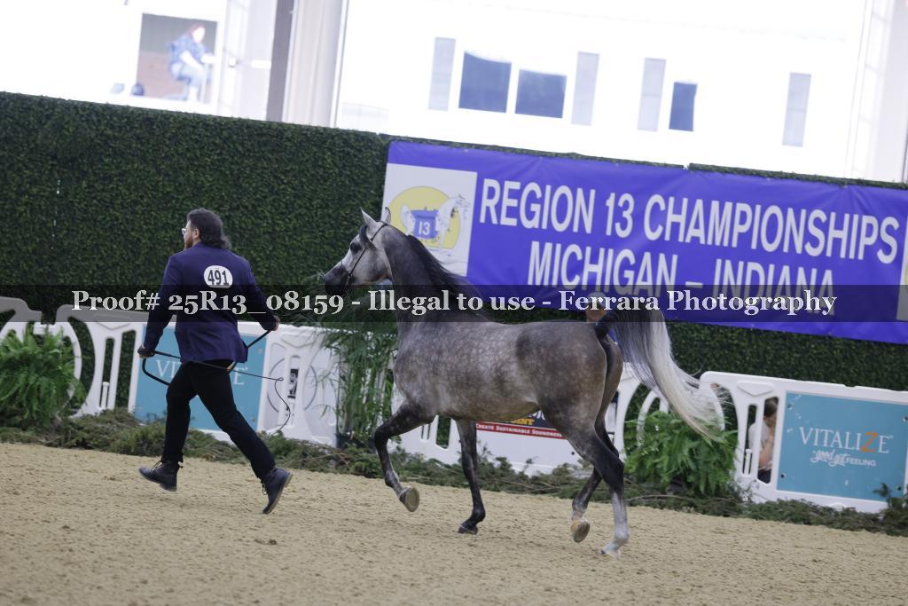 Proof Number 25R13_08159