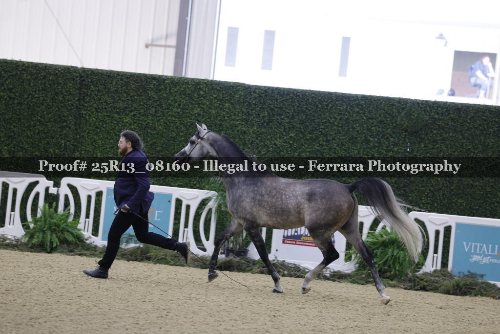 Proof Number 25R13_08160