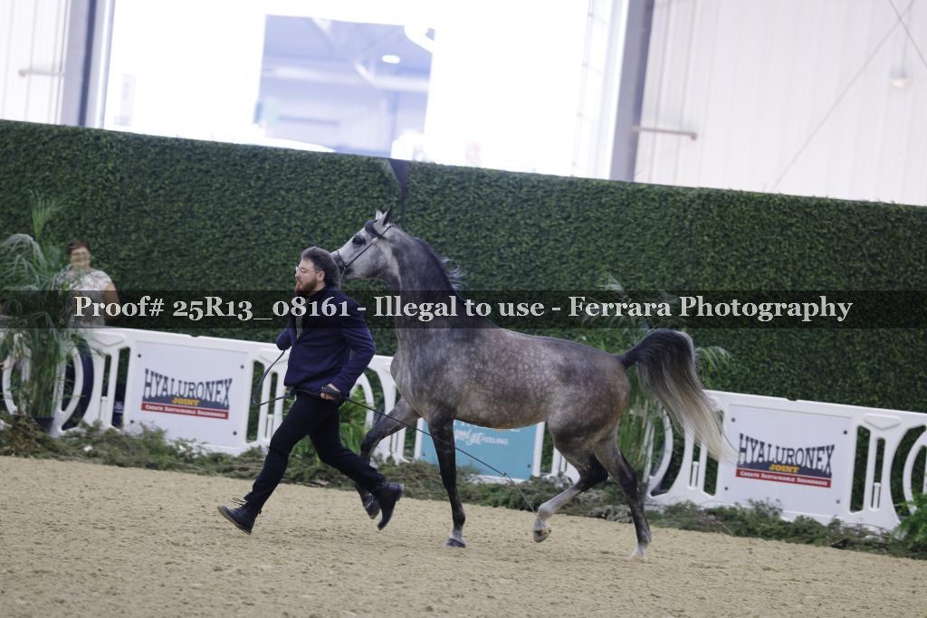 Proof Number 25R13_08161