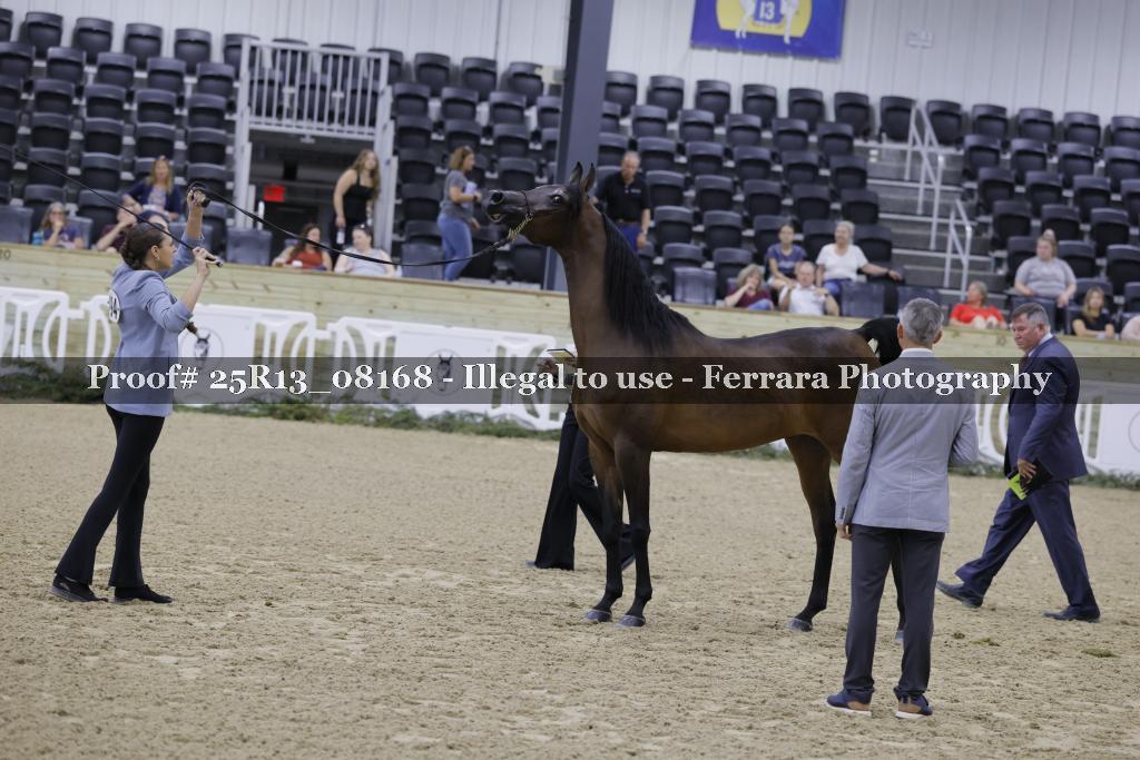 Proof Number 25R13_08168