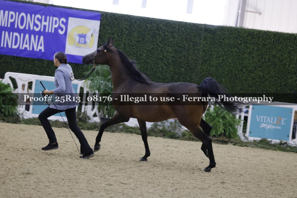 Proof Number 25R13_08176