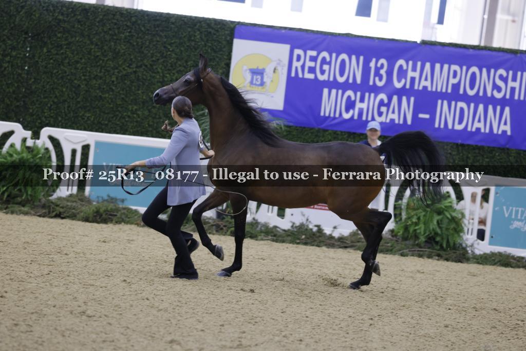 Proof Number 25R13_08177