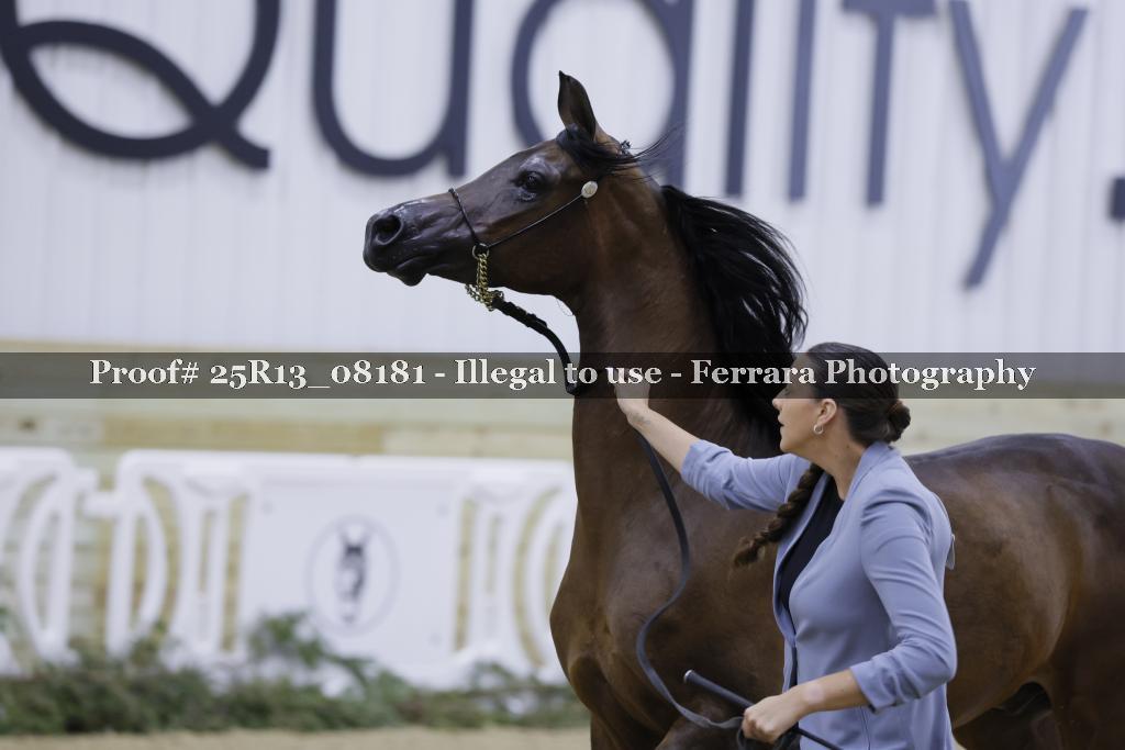 Proof Number 25R13_08181